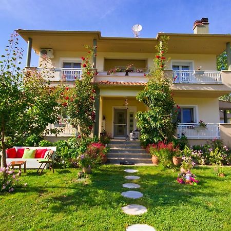 Angel Villa - Thassos Town Экстерьер фото