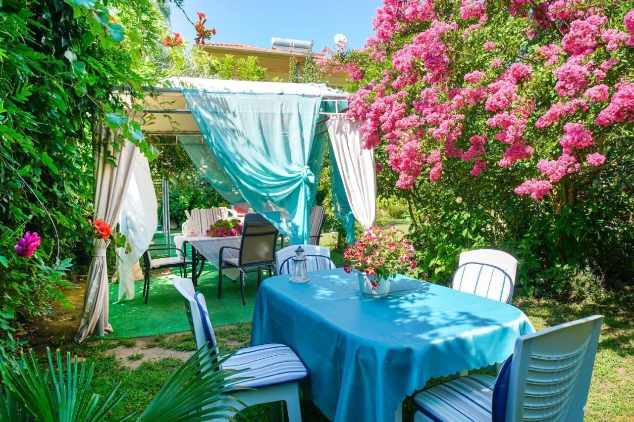 Angel Villa - Thassos Town Экстерьер фото